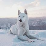 Rafik Dib - @rafik.dib.568 - Instagram