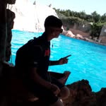 fikou - @rafik_mansour2002 - Instagram
