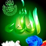 Mansour Rafik - @rafikmansour50 - Instagram