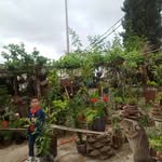 Rafik Mansouri - @rafikmansouri241 - Instagram