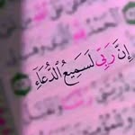 Rafik Mansouri - @rafikmansouri299 - Instagram
