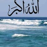 Rafik MnaSser - @mnasserrafik - Instagram