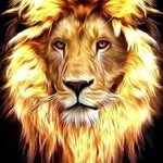 Rafiq Rahim - @rafiq.rahim.351 - Instagram