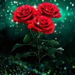 Ragaa Ibrahim - @ragaa7629 - Instagram