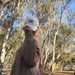 Ragaa Ibrahim - @rag.aaibrahim - Instagram
