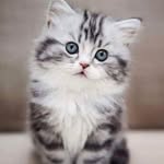 Ragaa Ibrahim - @ragaa6806 - Instagram