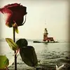Ragad Mustafa - @ragadmustafa5 - TikTok