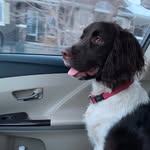 Ragan Johnson - @ragan2014 - Instagram