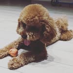Raghav Ramesh - @ramesh_raghav - Instagram