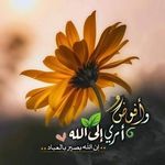 Raghda Salah - @raghda.salah.967806 - Instagram
