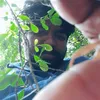 Raghu singh - @6666raghusr - TikTok