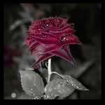 Rahat Islam - @rahat________islam - Instagram