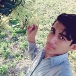 Raheel Anwar - @raheelanwar31 - Instagram