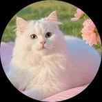 Rahim Qureshi - Facebook