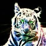king 101 lion - @spencerrahim - Instagram
