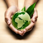 Rahman GreenAgro - @rahm.angreenagro - Instagram