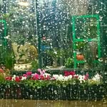 Rahman Shahidi - @rahmanshahidi - Instagram