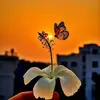 Rahmina Rahman - @rahmina.rahman - TikTok