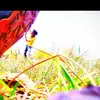 ᴿᴼᵞᴬᴸ᭄☯ཞąɧųƖ࿐ - @rahulbehera40 - TikTok