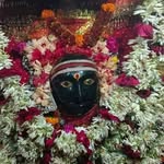 Rahul Dwivedi - @rahuldwivedi9175 - Instagram