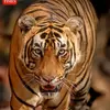 Rahul Ram - @rahulram758 - TikTok