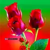 Rahul Ram - @rahul.ram85 - TikTok