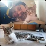 Rahul Shetty - @rahullshetty1986 - Instagram