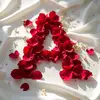 raihan ali - @rayhan05476 - TikTok