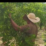 Raimundo Delgado - @raimundodelgado6 - Instagram