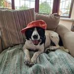 Lorraine Jones - @rainjones33 - Instagram