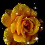 Raina Paul - Facebook