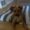 Rainarussell  - @rainarussell - TikTok