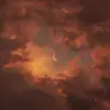 Raina Williams - @raina.williams1 - TikTok