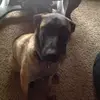 raina.williams - @raina.williams - TikTok