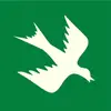 RainBird - @rain.birdd - TikTok