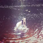 Caroline johnson - @rainbow_johnson - Instagram
