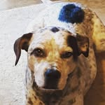 Elise - @unicorn_rainbow_johnson - Instagram