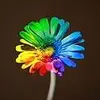 🌻🌻🌻rainbow🌈🩵💛💚 - @rainbowsun01 - TikTok