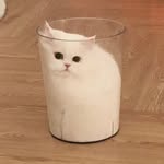 ℝ𝕒𝕚𝕟𝕓𝕠𝕨🐹 - @rainbow_yang._.1103 - Instagram