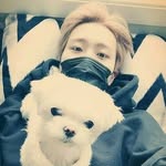 CYJ 🐦🐶🐦 - @rainbow.youngjae - Instagram