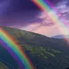 young.rainbow.budget - @young.rainbow.budget - TikTok