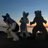 Raine Halle Carlos - @carlos.raine.halle - TikTok