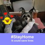 Raine Nelson - @handsomepupper19 - Instagram