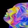 Raine Nelson _ Stude - @rainenelso - TikTok