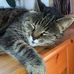 Rainer Baumgartner - Facebook