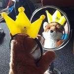 @rainer_der_fuchs - Instagram