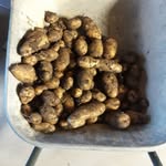 Rainer Fuchs - @rainerfuchs4 - Instagram