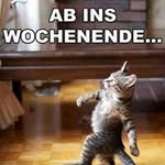 Rainer Fuchs - @fuchs_rainer - Instagram