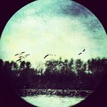 Rainer Geis - @rhg502 - Instagram