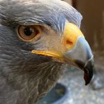 Rainer Geiss - @rainergeiss - Instagram